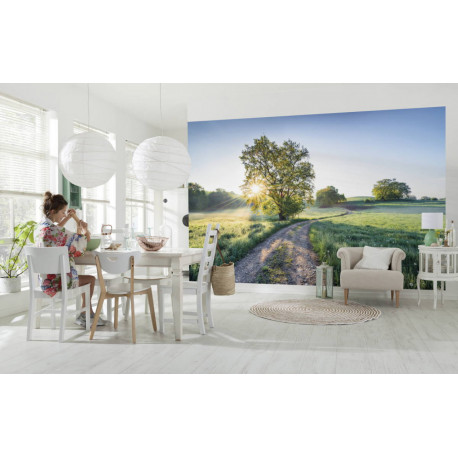 A New Day in Paradise - fototapet - 2,5x4 m - fra Komar